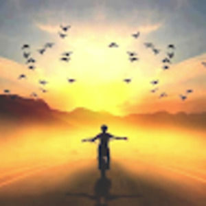 Meet your Posher, Everton